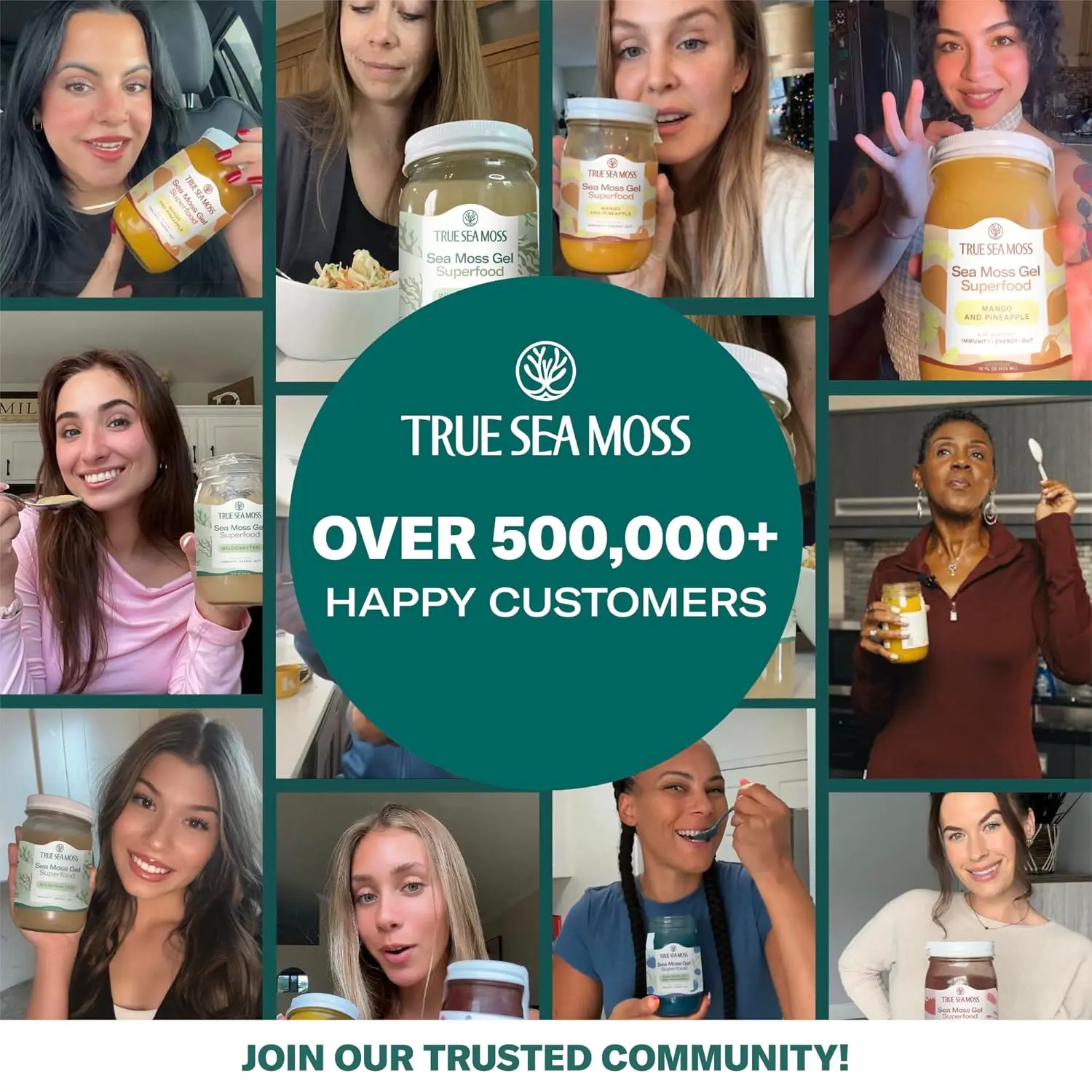 APPLE & CINNAMON SEA MOSS GEL - Image 9