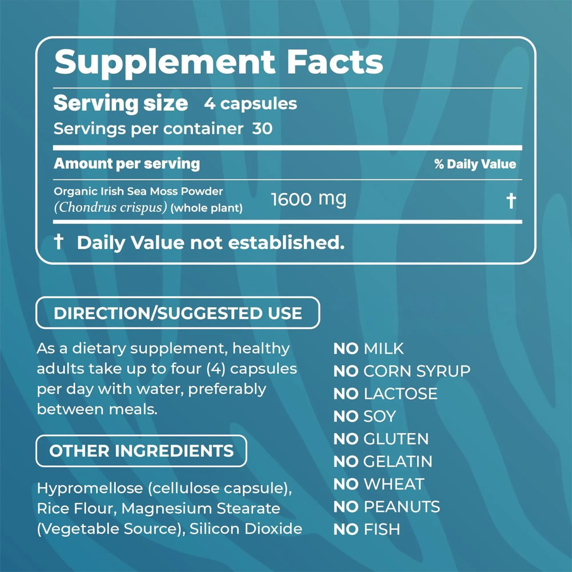NATURAL SEA MOSS CAPSULES - Image 2