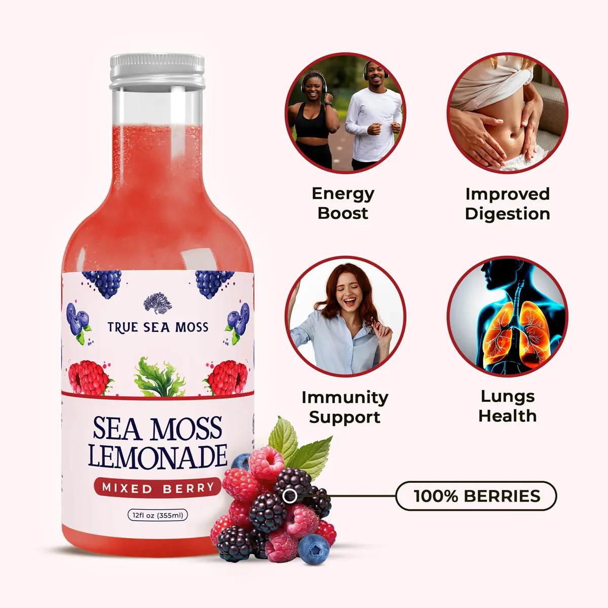Sea Moss Lemonade 4 flavors in one package - TrueSeaMoss - Image 2