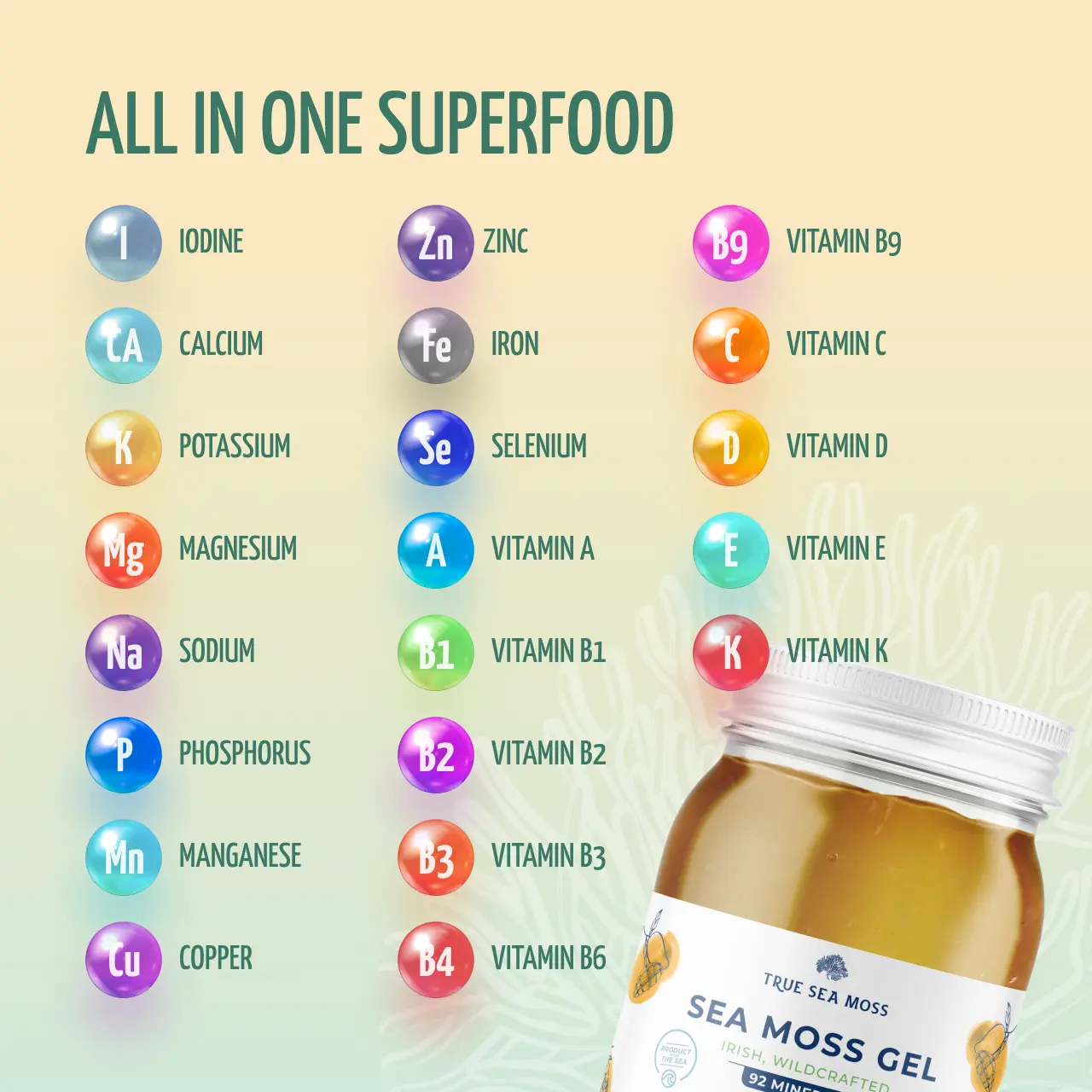 True Sea Moss Gel - Powerful Natural Superfood - Image 7